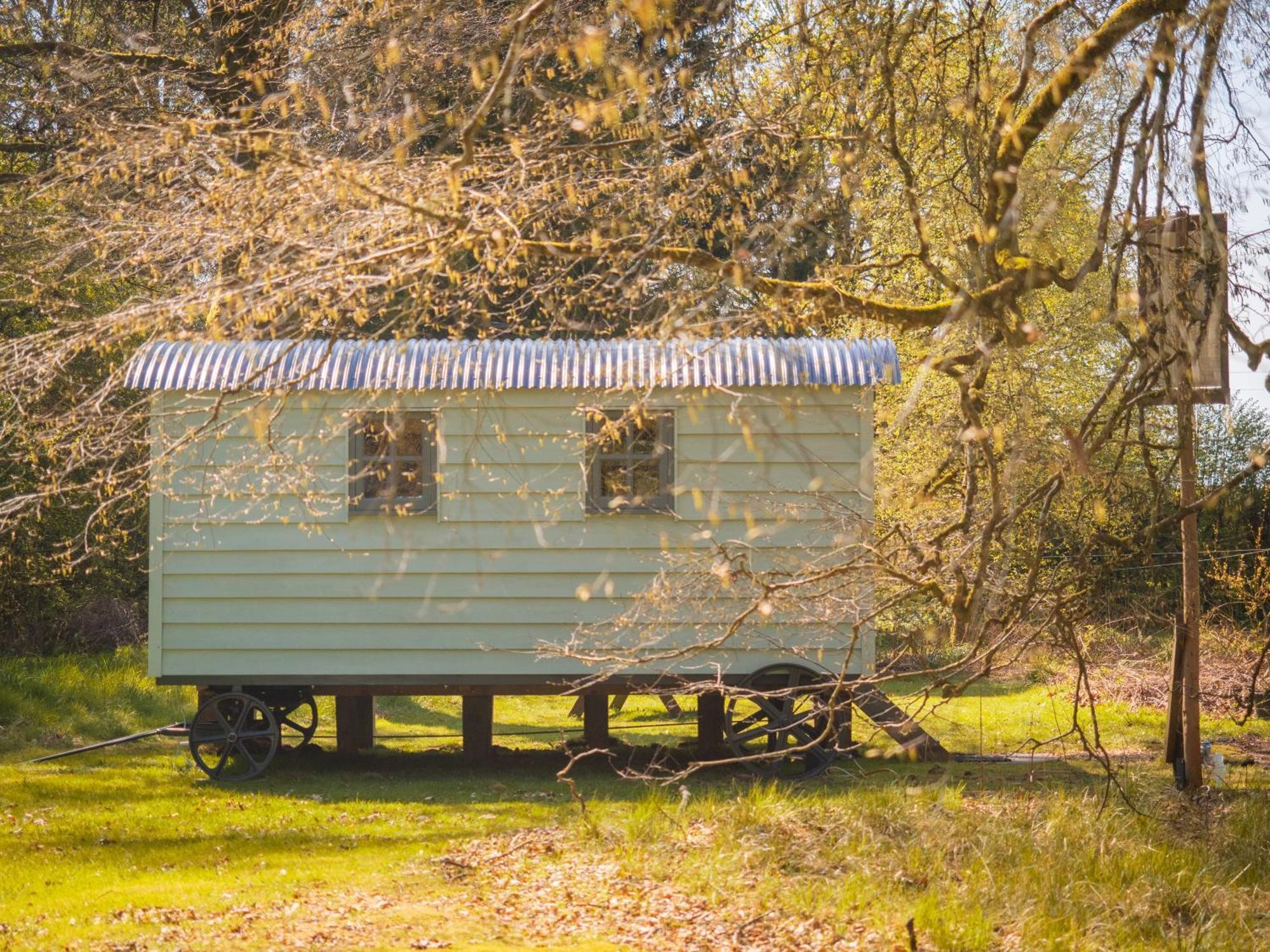 הוילה Alyth Bamff Ecotourism מראה חיצוני תמונה